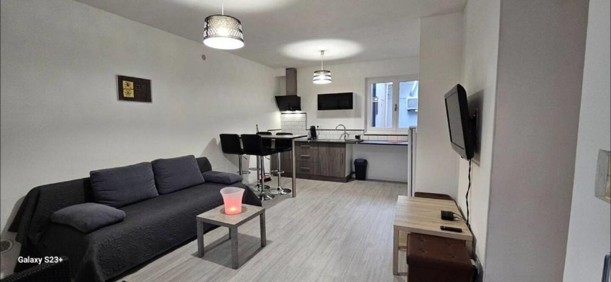 Appartement Cosy Avec Patio En Rdc بيربينيو المظهر الخارجي الصورة